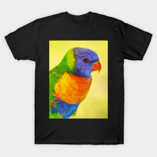 Rainbow Lorikeet T-Shirt